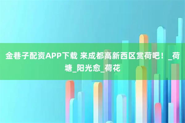 金巷子配资APP下载 来成都高新西区赏荷吧!_荷塘_阳光愈_荷花