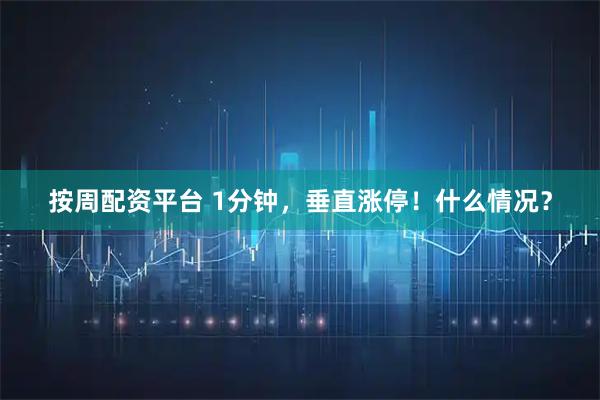 按周配资平台 1分钟，垂直涨停！什么情况？