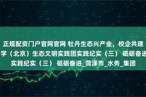 正规配资门户官网官网 牡丹生态兴产业，校企共建谱新篇 | 中国地质大学（北京）生态文明实践团实践纪实（三） 砥砺奋进_菏泽市_水务_集团